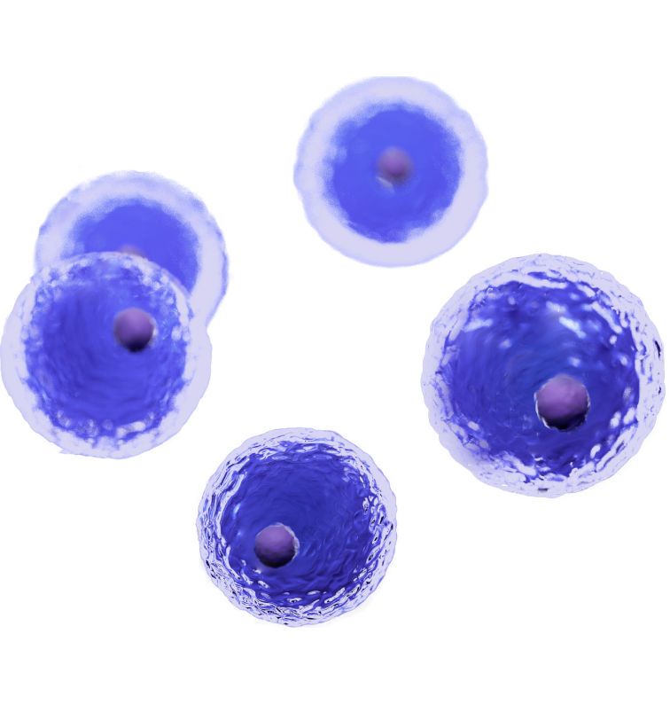Illustration of human cells