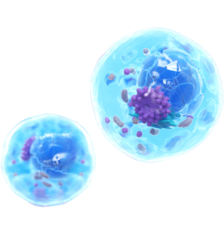cells illustration